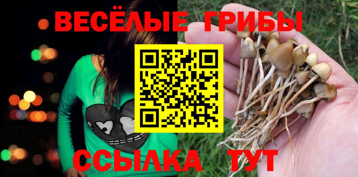 Назрань  Псилоцибиновые грибы GOLDEN TEACHER  Вход с VPN 